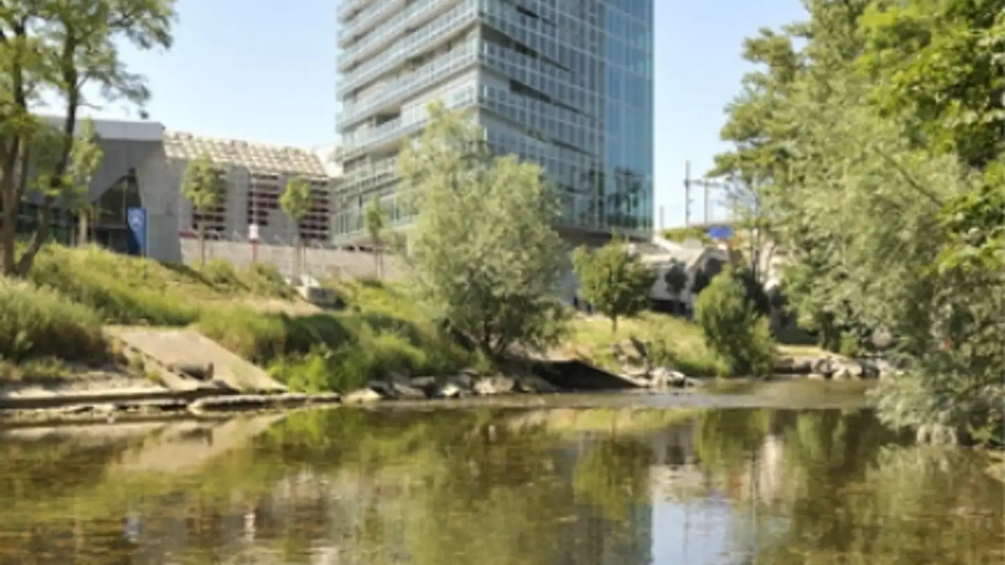 Appartement à louer - Birsstrasse 320, 4052 Basel