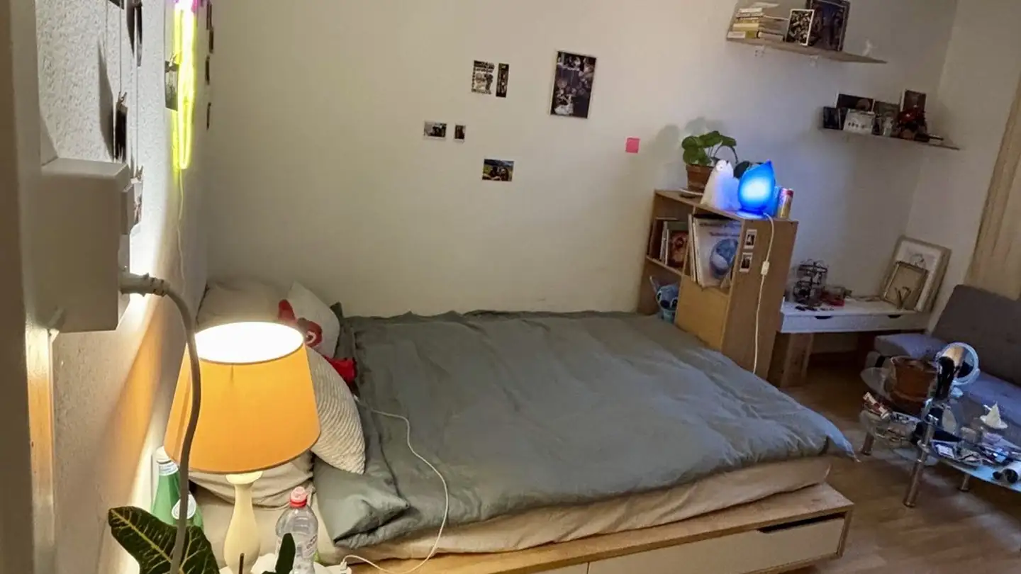 Stanza singola in affitto - 8046 Zürich