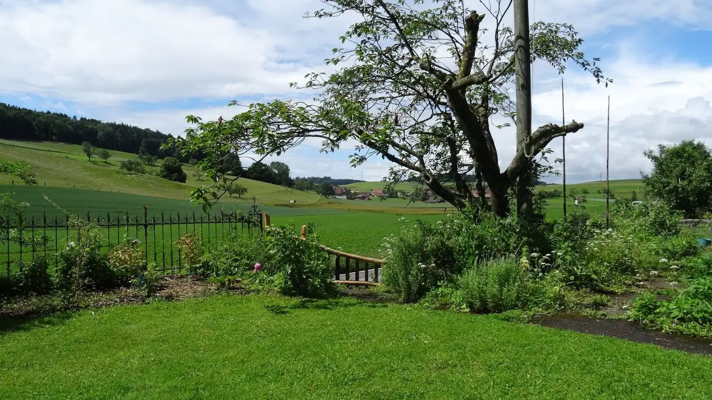 Appartamento in affitto - Regenhaldenstrasse 35, 3365 Grasswil