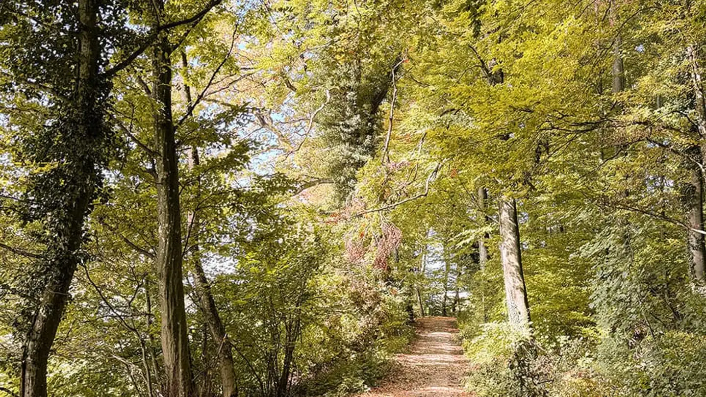 Einfamilienhaus kaufen - 1776 Montagny-la-Ville