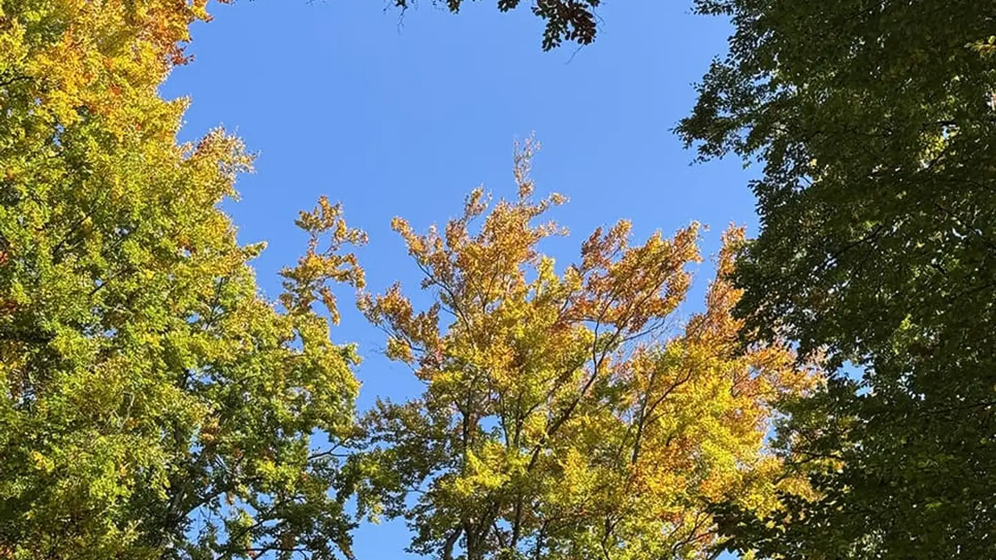 Einfamilienhaus kaufen - 1776 Montagny-la-Ville - Foto 3