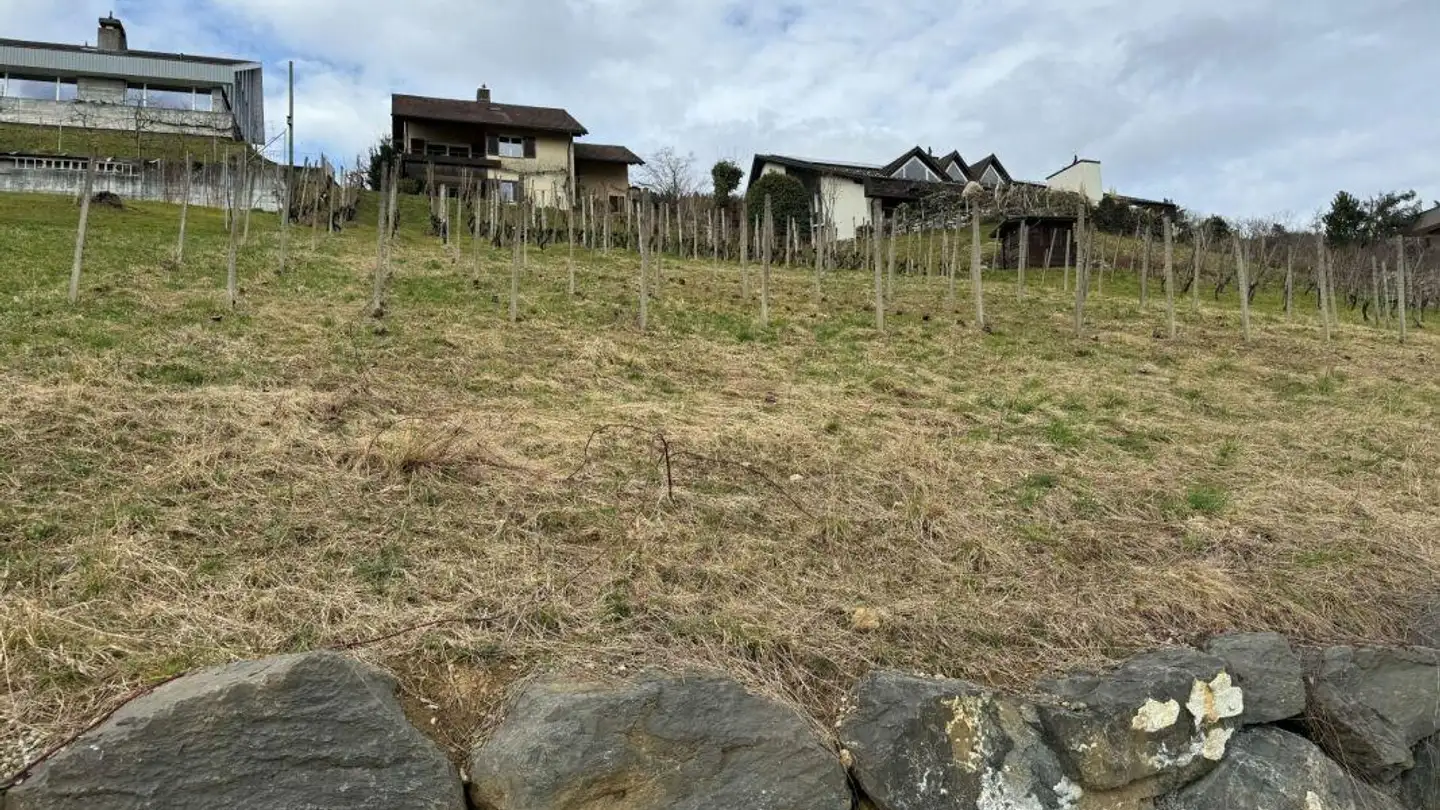 Bauland kaufen - Grund-Höhlerweg, 9445 Rebstein