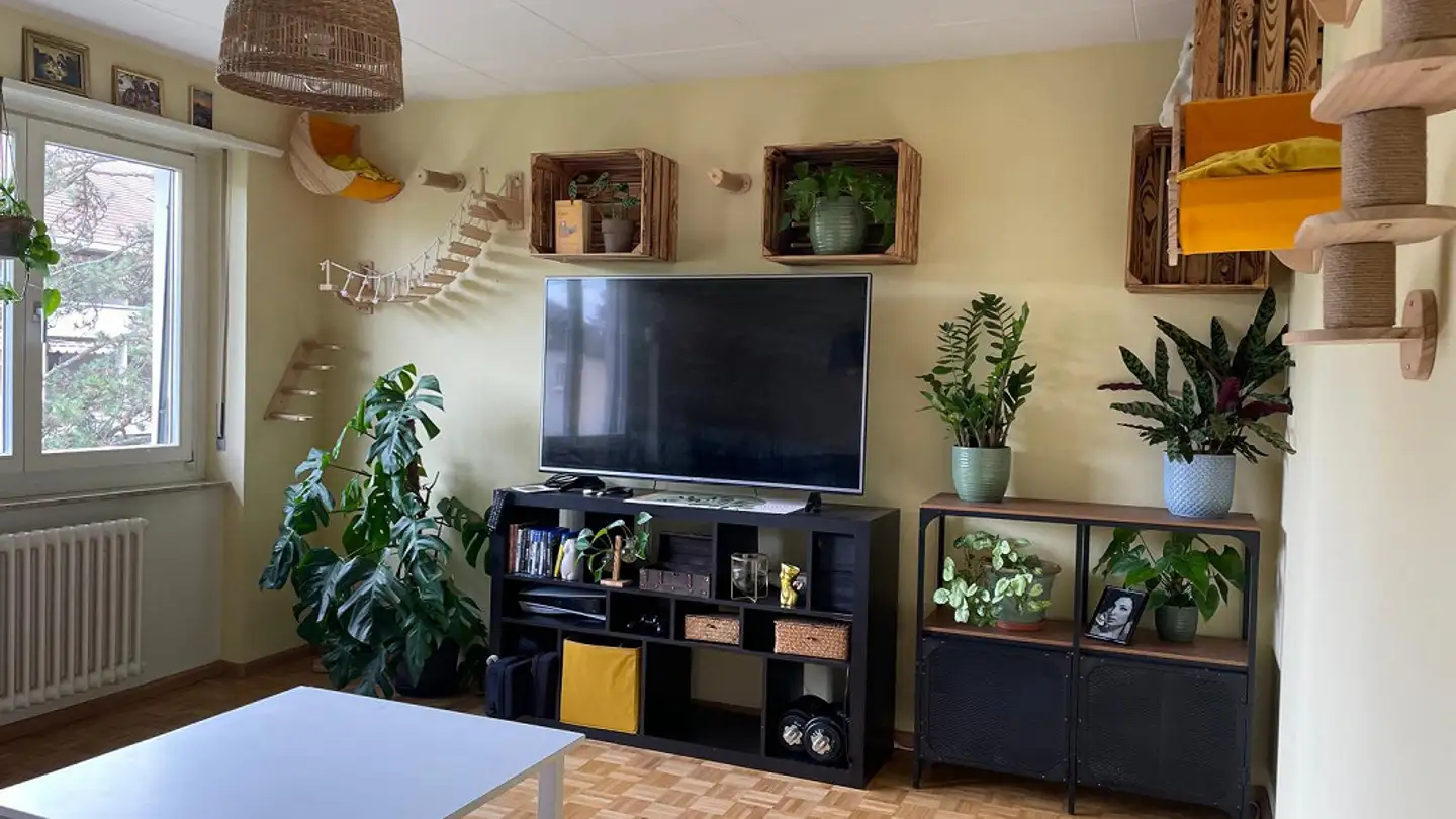 Apartment for rent - Blochmonterstrasse 18, 4054 Basel