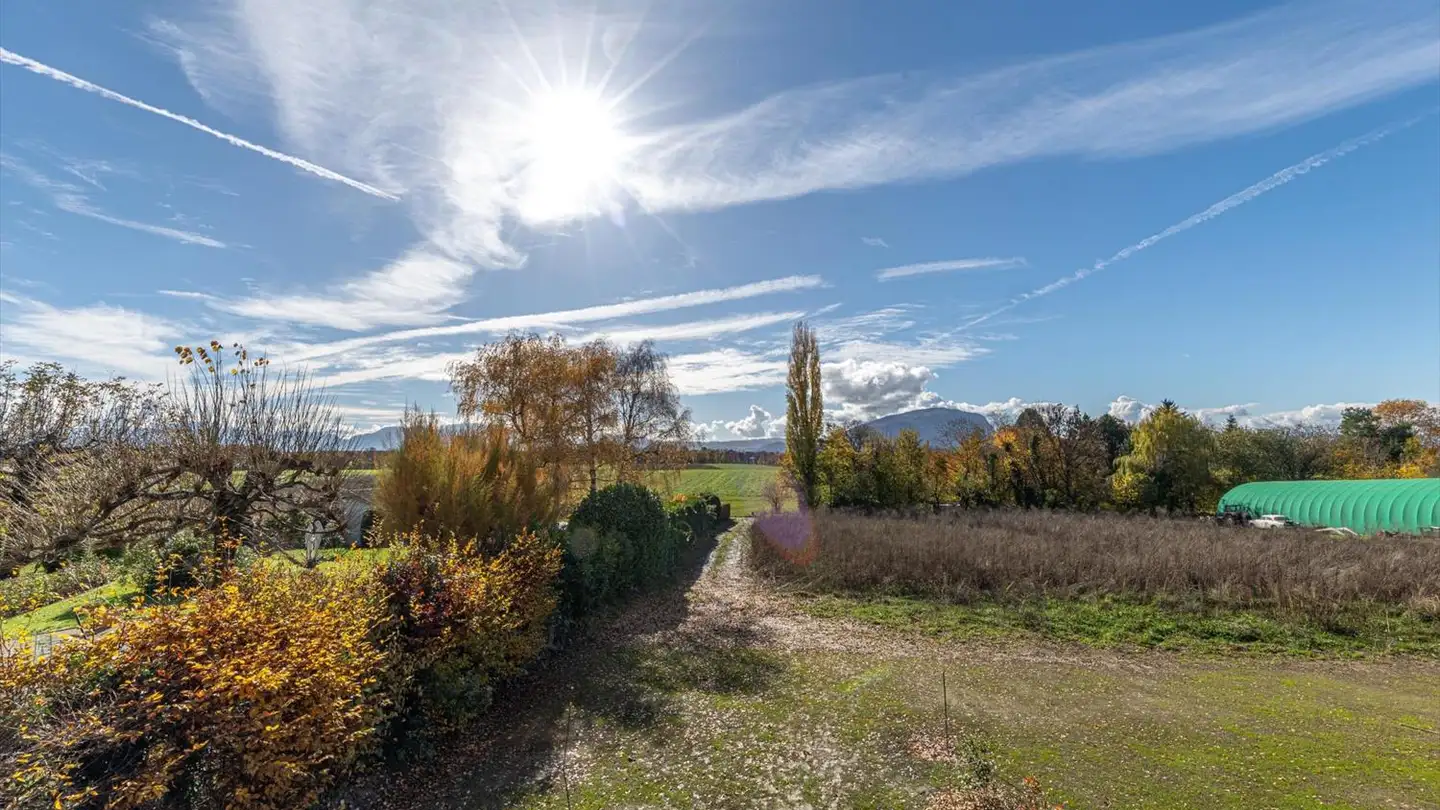 Appartamento in affitto - Route De Lullier 64, 1254 Jussy - Photo 4