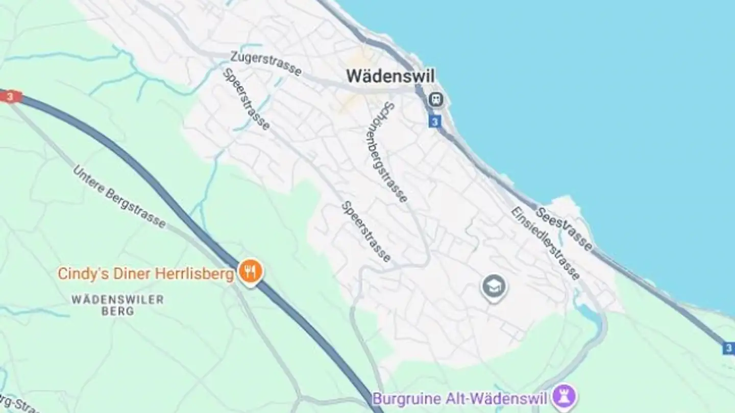 Appartement à vendre - 8820 Wädenswil