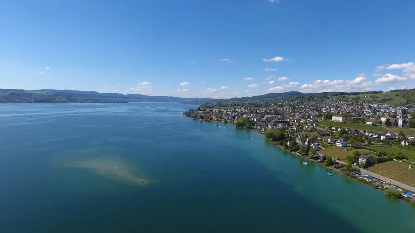 Single house for sale - 8712 Stäfa