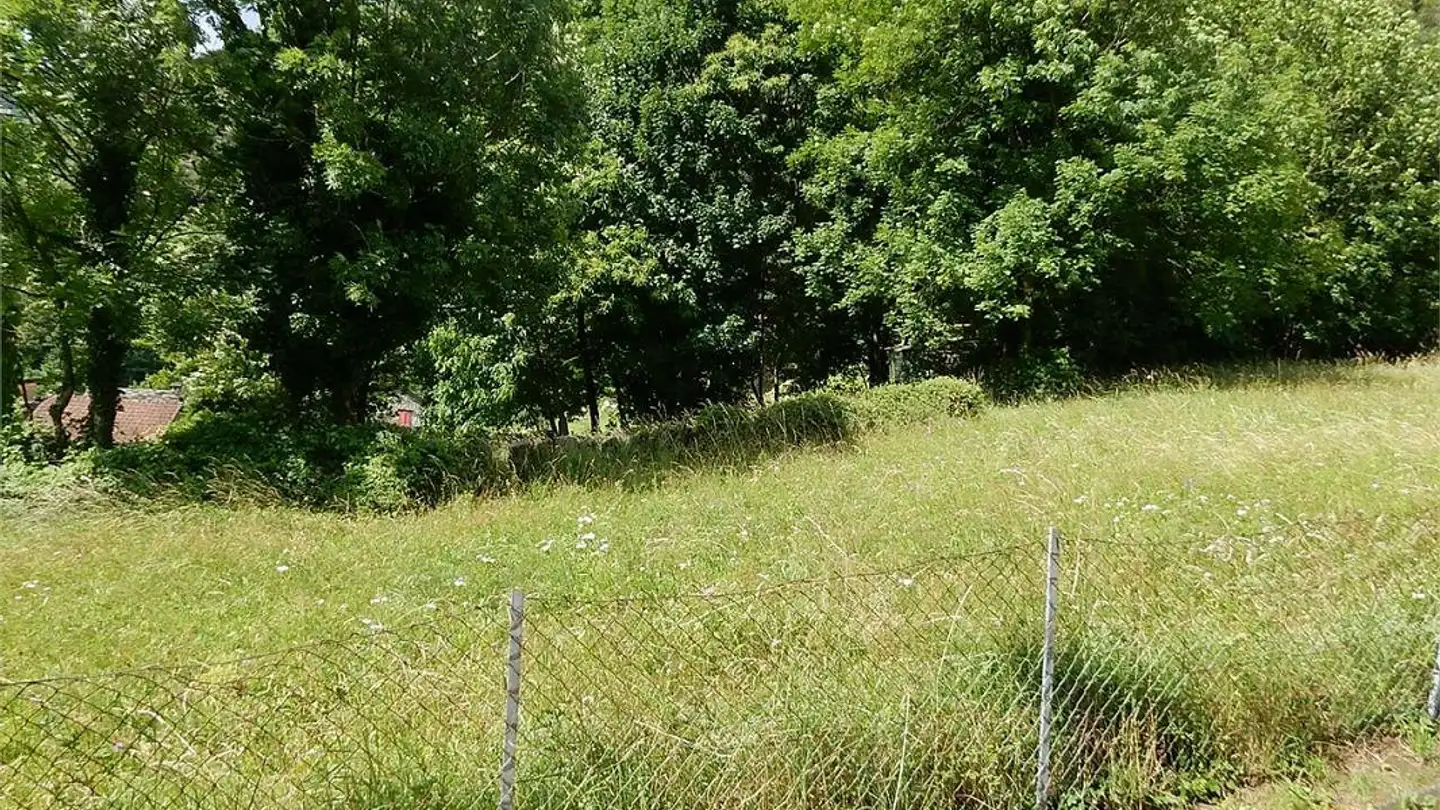 Terreno edificabile in vendita - 6702 Claro - Photo 3