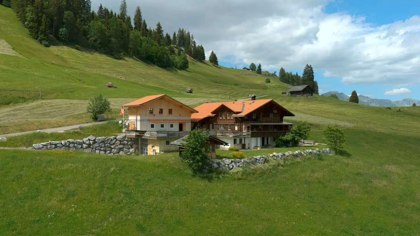 Single house for sale - 3766 Boltigen