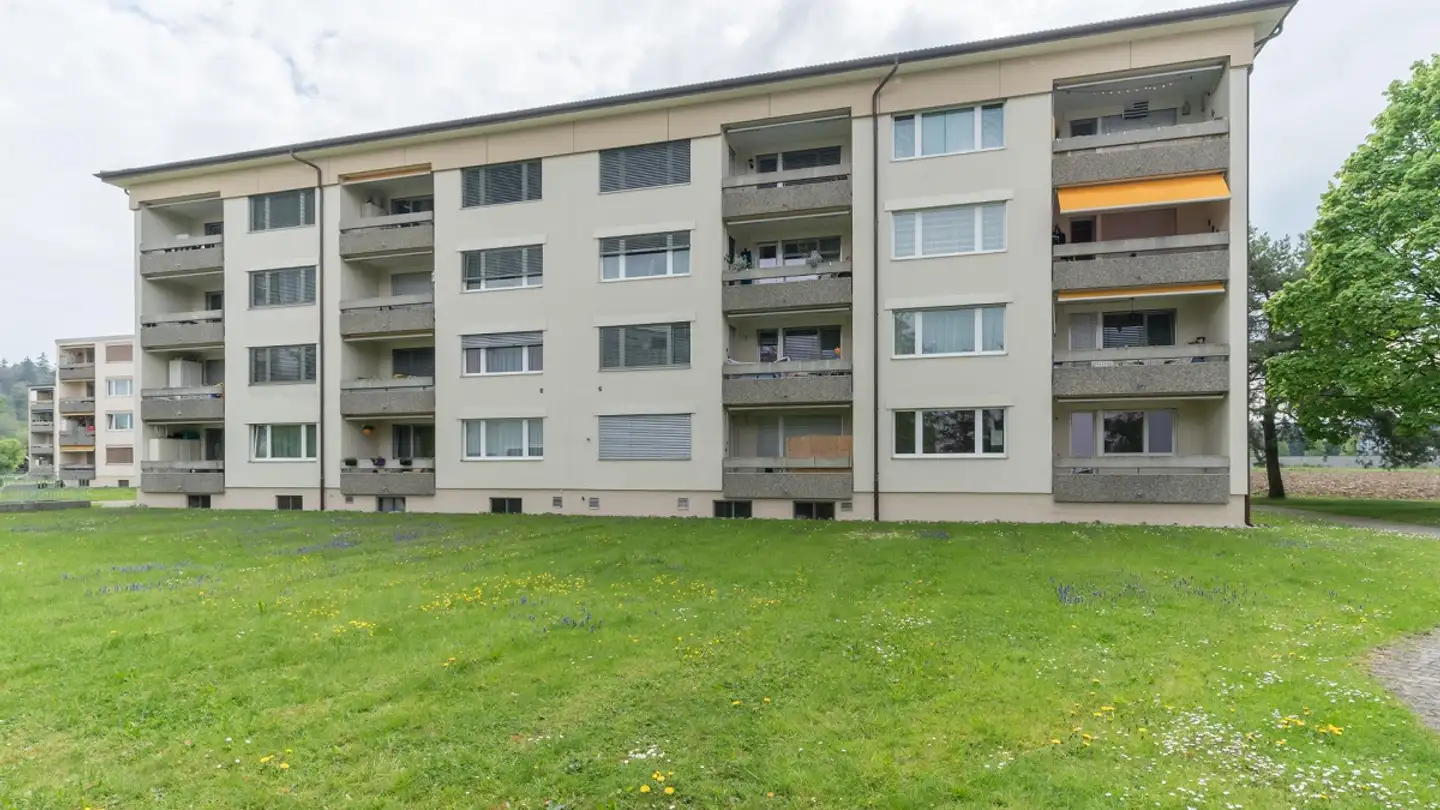 Wohnung mieten - Wynemattestrasse 10, 5034 Suhr
