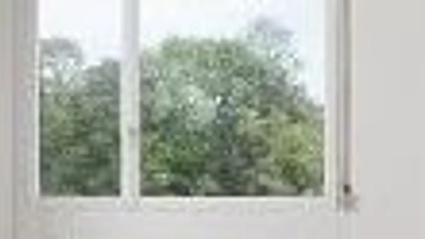 Appartement à louer - Seilerwis 7, 8606 Greifensee - Photo 2