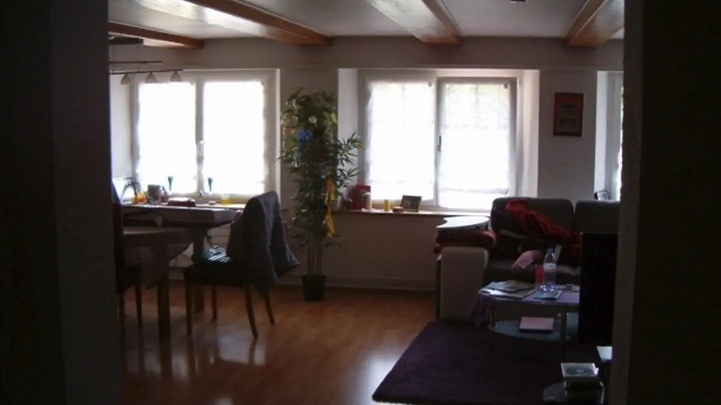 Apartment for rent - Schlossgasse 09, 4456 Tenniken - Photo 3