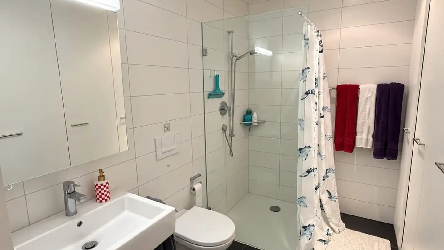 Furnished apartment for rent - 6010 Kriens - Photo 2