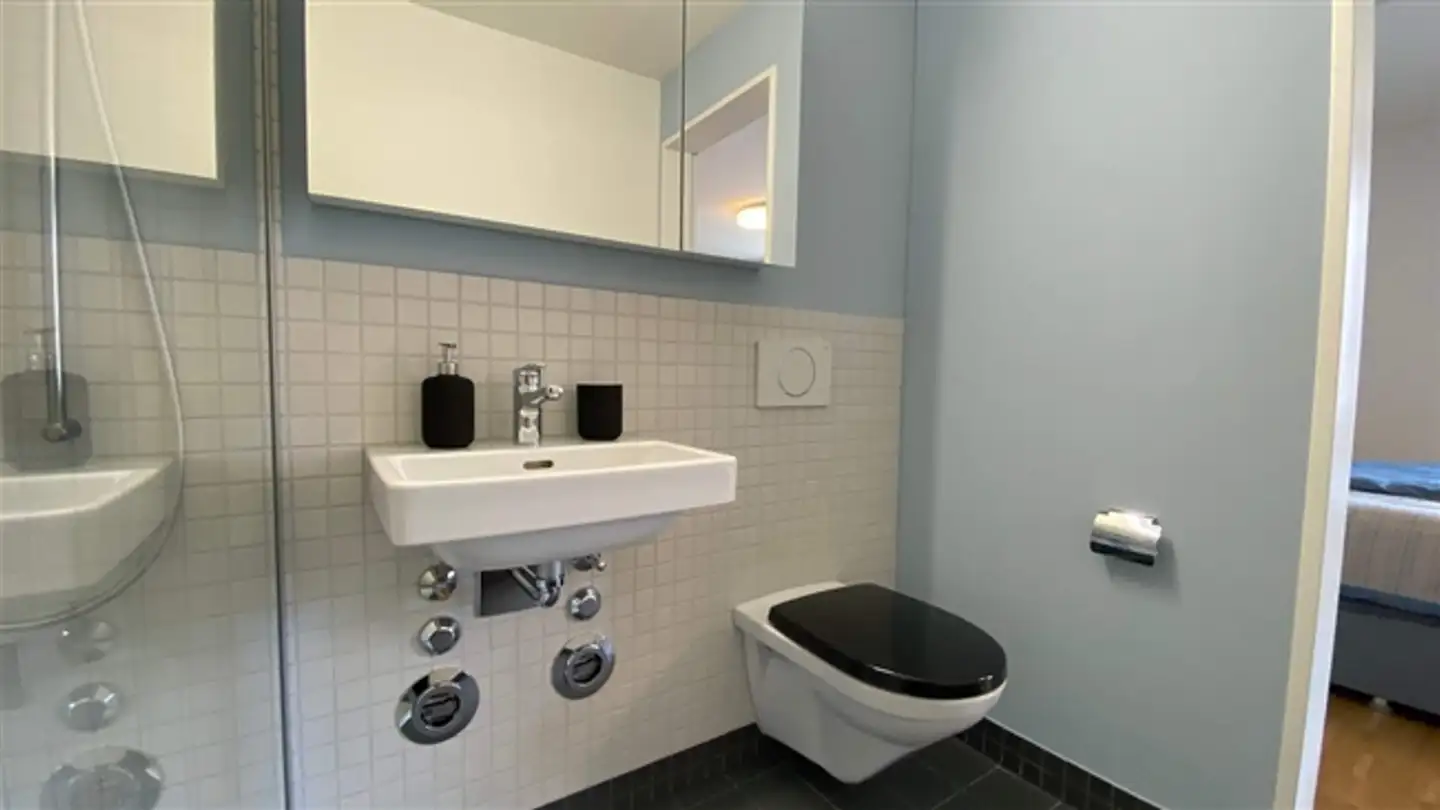 Studio in affitto - 8952 Schlieren - Photo 2