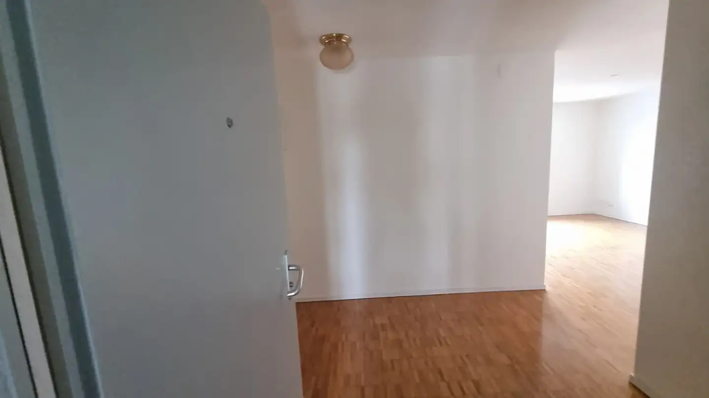 Apartment for rent - Uetlibergstrasse 75, 8045 Zürich - Photo 2