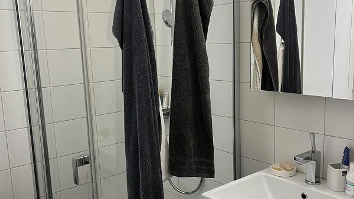 Appartamento in affitto - Höhestrasse 79, 8702 Zollikon - Foto 4