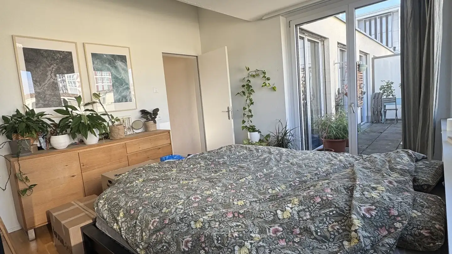 Single room for rent - Hohlstrasse 465, 8048 Zürich - Photo 3