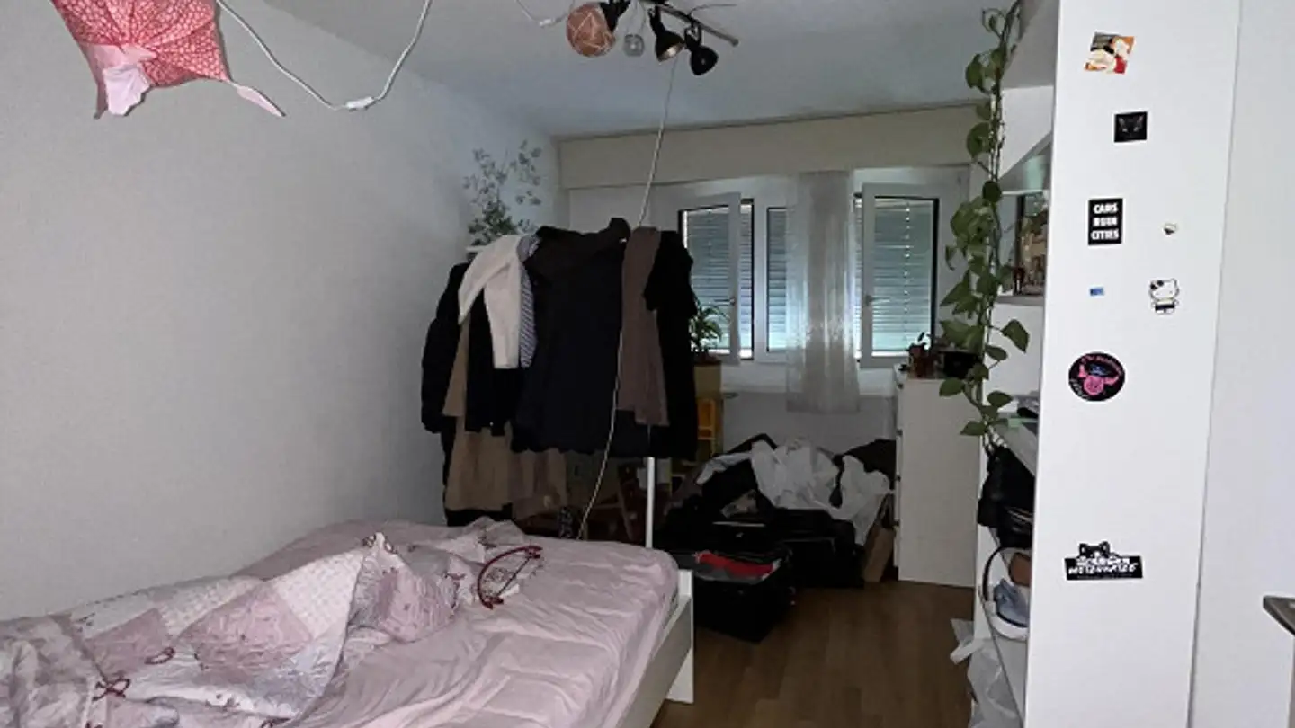 Appartamento a gradini in affitto - Schwandenholzstrasse 238, 8046 Zürich - Foto 4