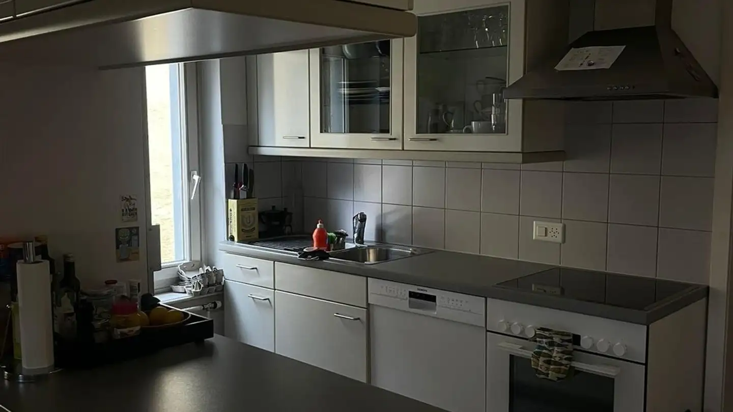 Appartamento in affitto - Beckengässchen, 8200 Schaffhausen - Photo 4