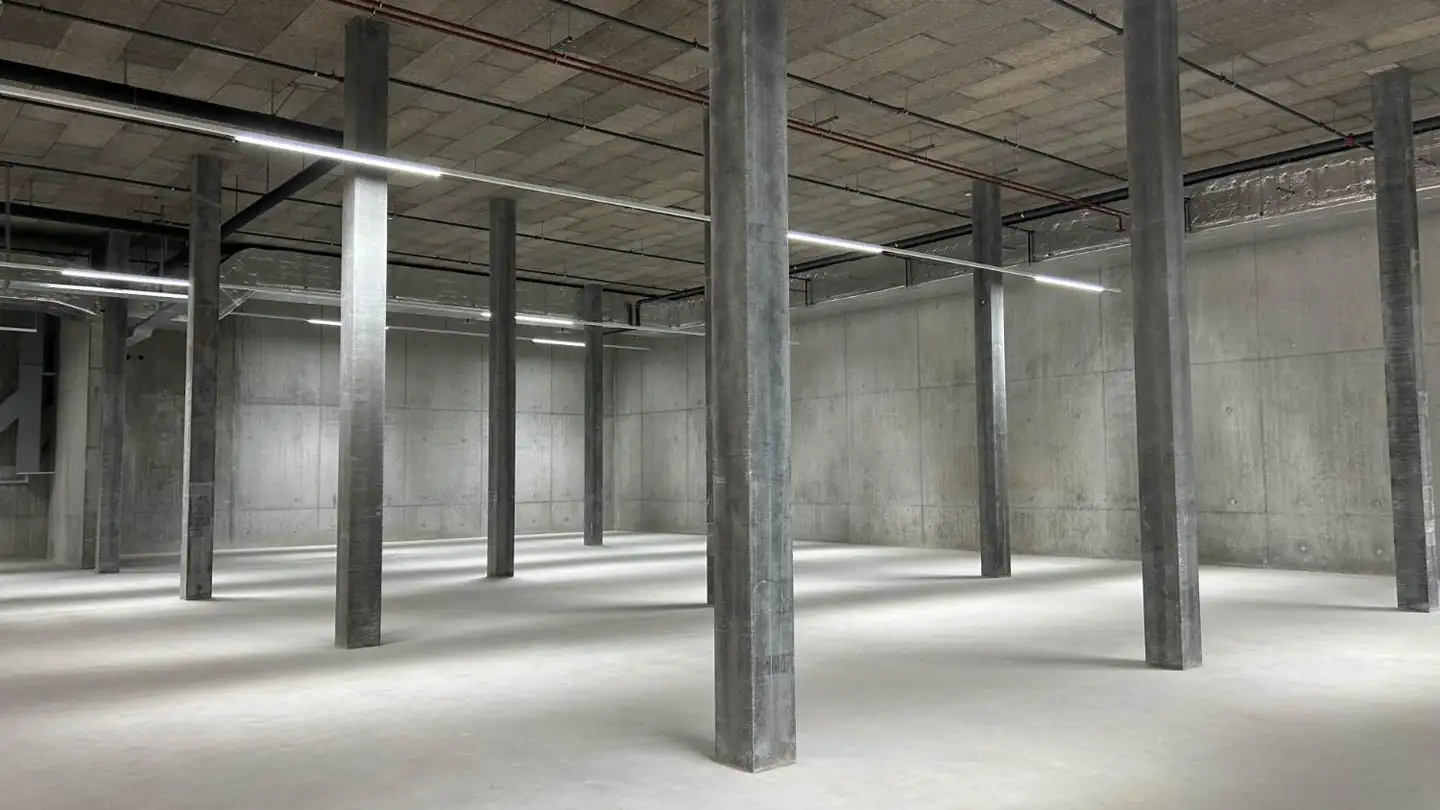 Industrial property for rent - Route Des Fayards 282, 1290 Versoix - Photo 2