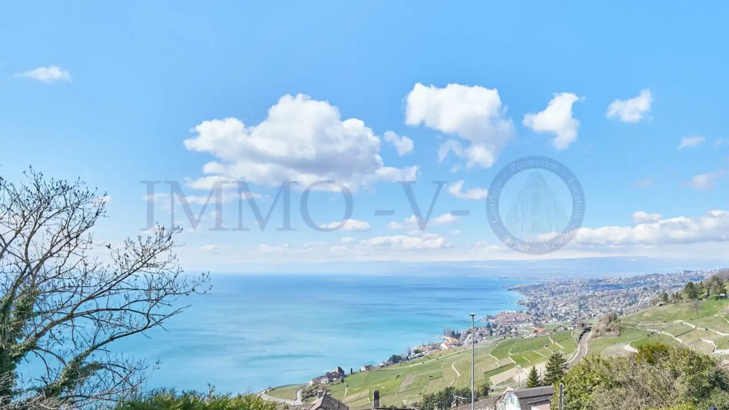 Appartement à louer - 1091 Grandvaux - Photo 3