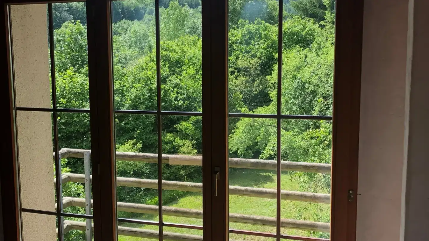 Appartement à louer - Sommerwiesstrasse, 8200 Schaffhausen - Photo 4