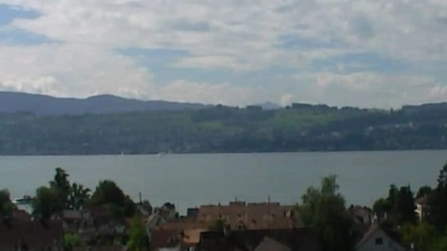 Appartement à louer - Gufenhaldenweg 2b, 8708 Männedorf - Photo 4