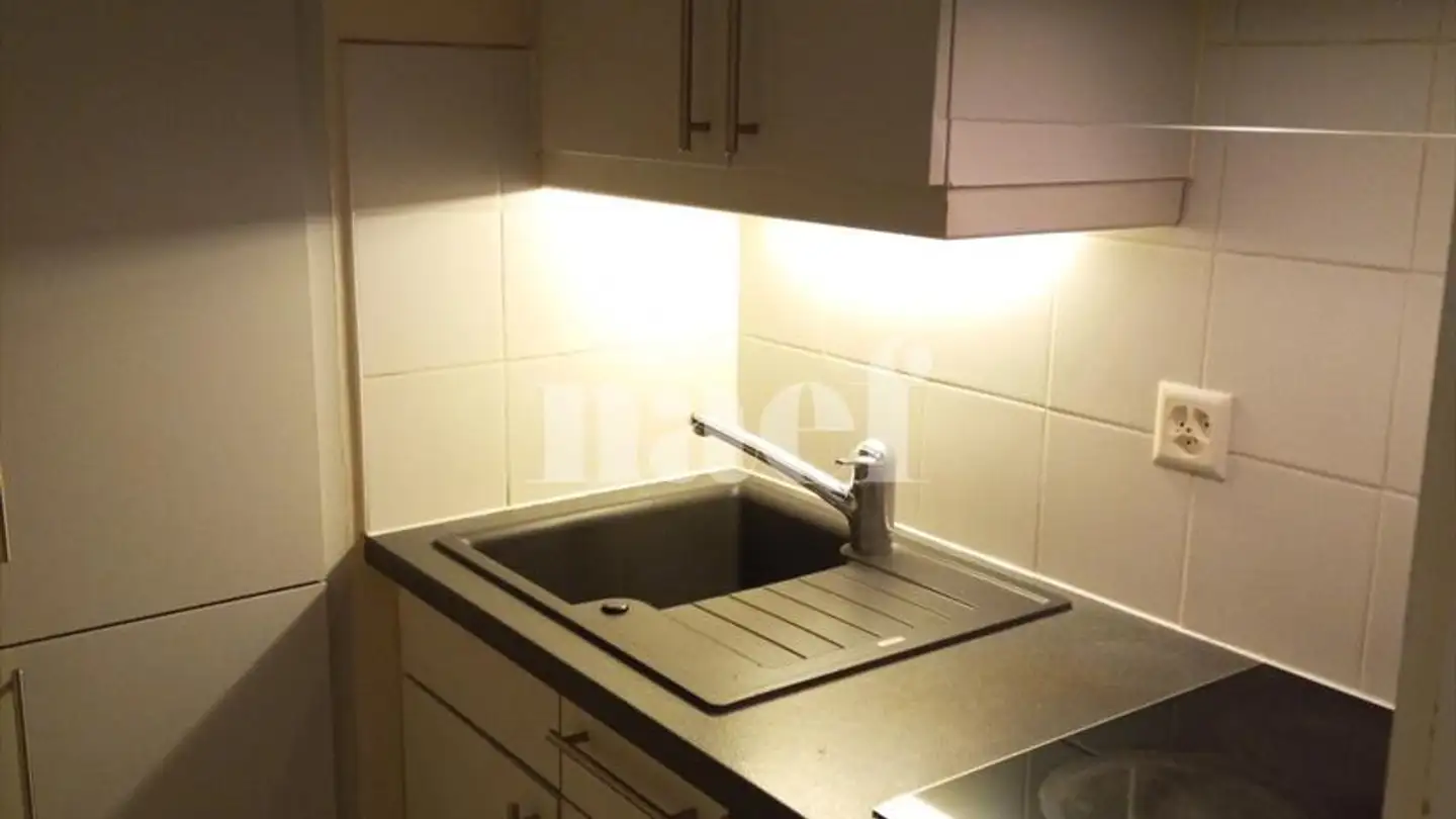 Apartment for rent - Rue Vautier 12, 1227 Carouge GE - Photo 3