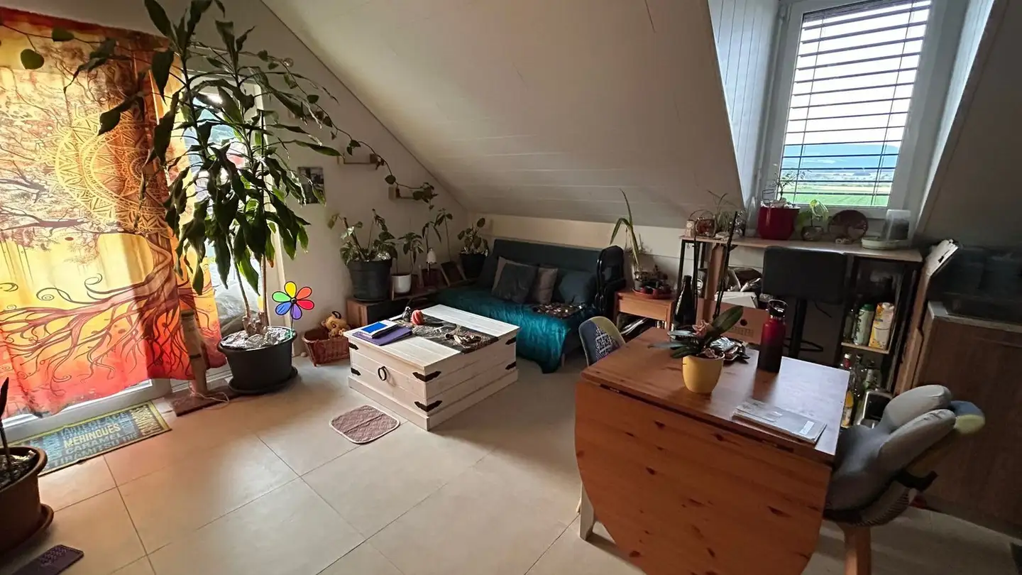Appartement à louer - 1438 Mathod - Photo 2