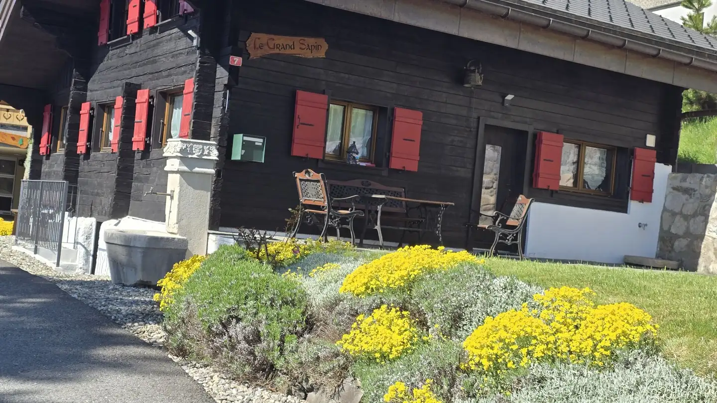 Maison individuelle à louer - Chemin Des Fenives 7, 1854 Leysin