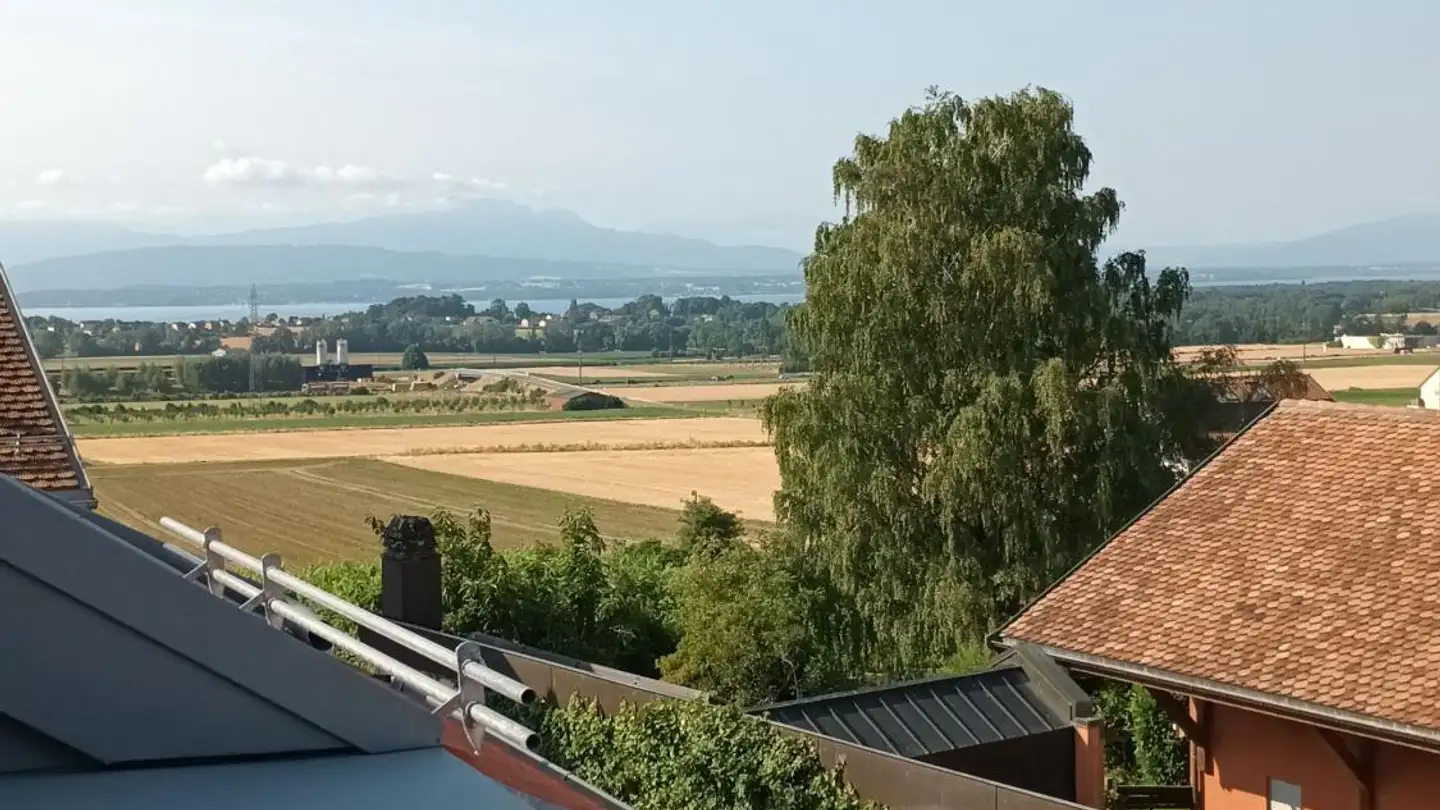 Wohnung kaufen - Grand-Rue 1, 1183 Bursins