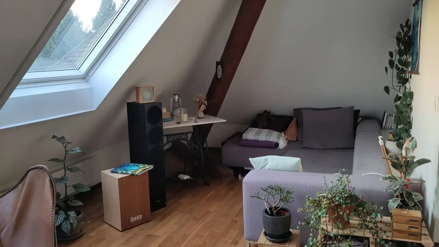 Dachgeschosswohnung mieten - Thurgauerstrasse 9, 8400 Winterthur - Foto 3