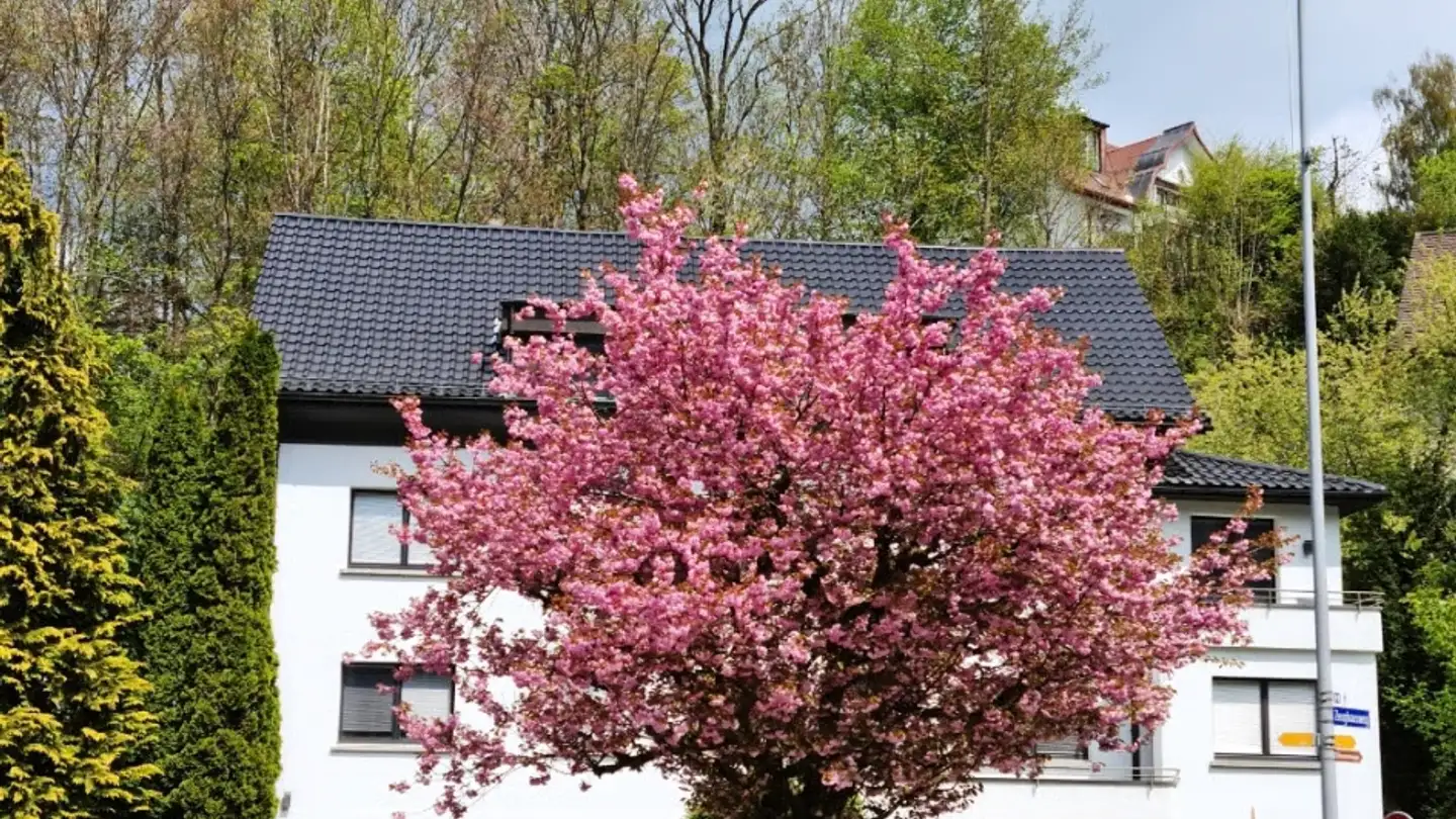 Chambre à louer - 9100 Herisau