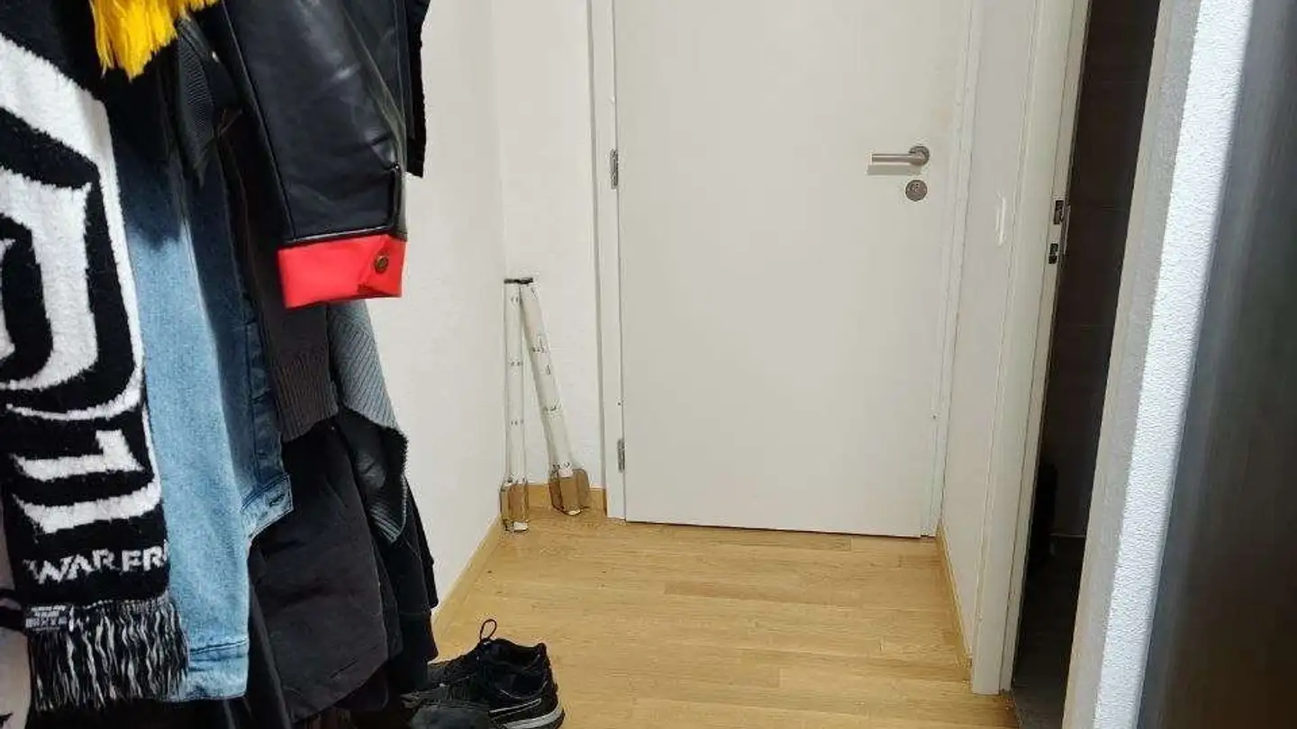 Appartamento in affitto - Quartier De La Levratte, 1260 Nyon