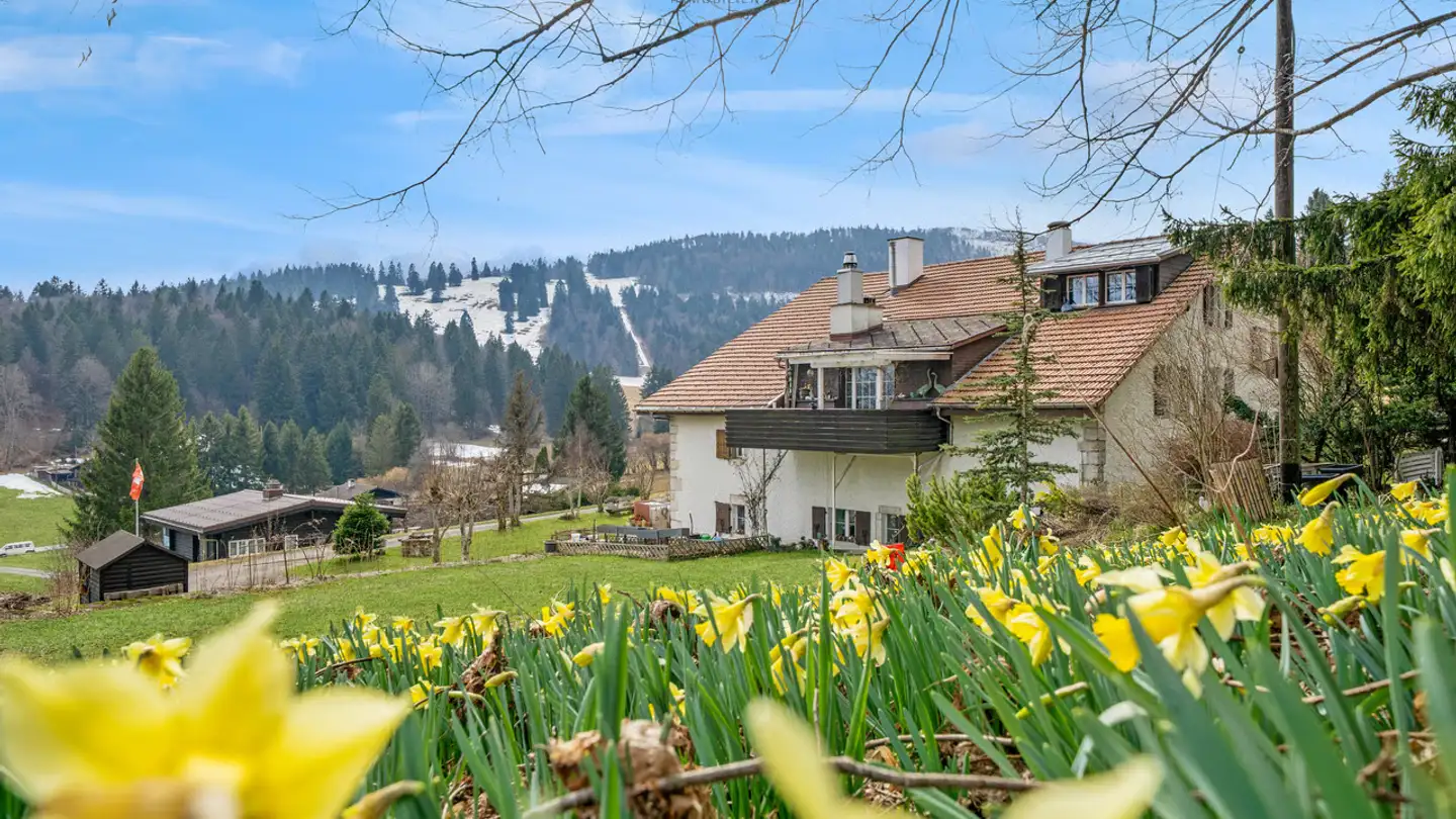 Appartement à vendre - Chemin Des Jonquilles, 2534 Les Prés-d'Orvin - Photo 2