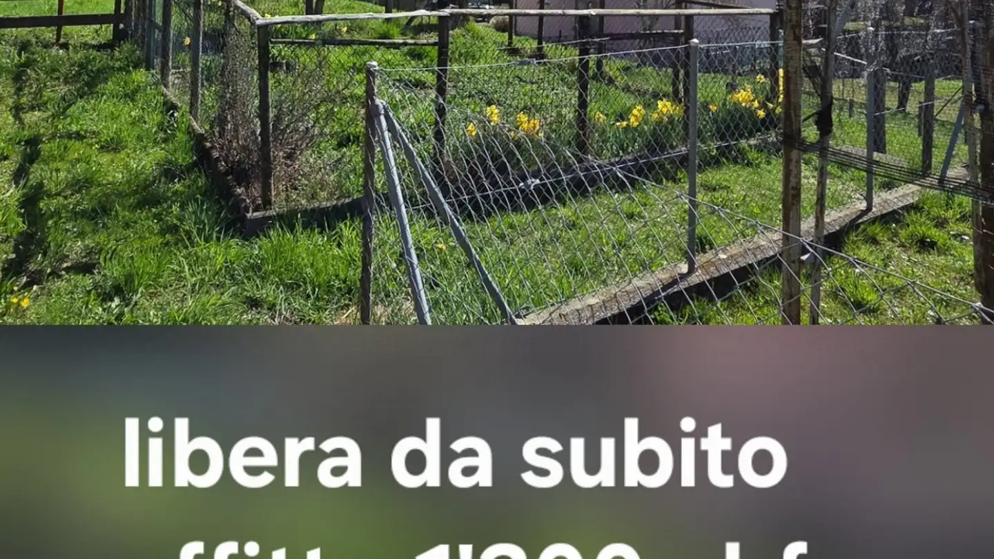 Apartment for rent - Stráda Di Teciaín 12, 6968 Sonvico - Photo 2