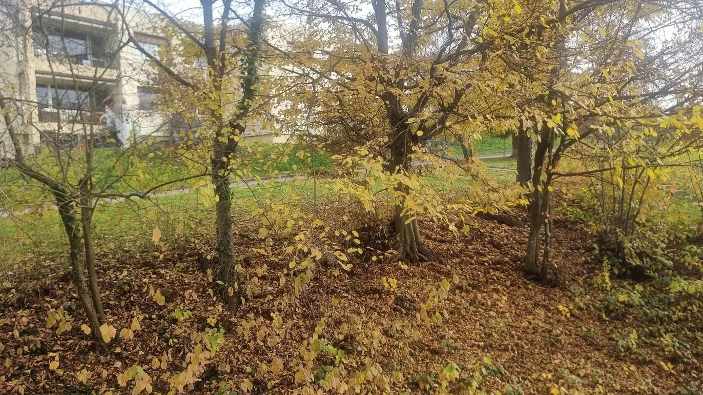 Apartment for rent - Bahnhofstrasse 67, 8902 Urdorf - Photo 2