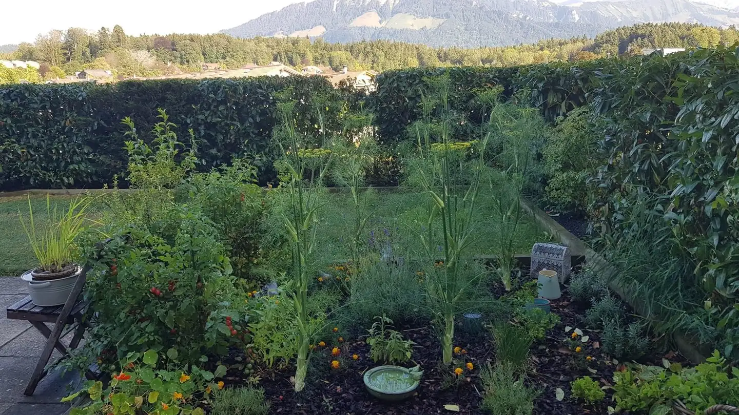 Wohnung mieten - Rue Du Stade 89, 1630 Bulle - Foto 3
