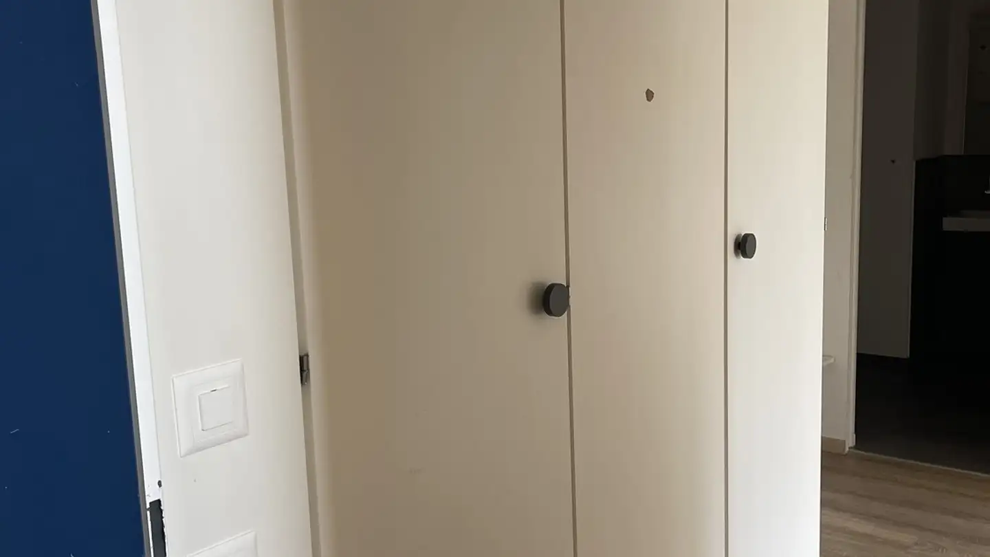 Apartment for sale - Im Brünneli 25, 8127 Forch - Photo 2