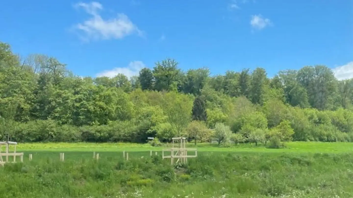 Casa singola in vendita - 1000 Lausanne 25 - Photo 4