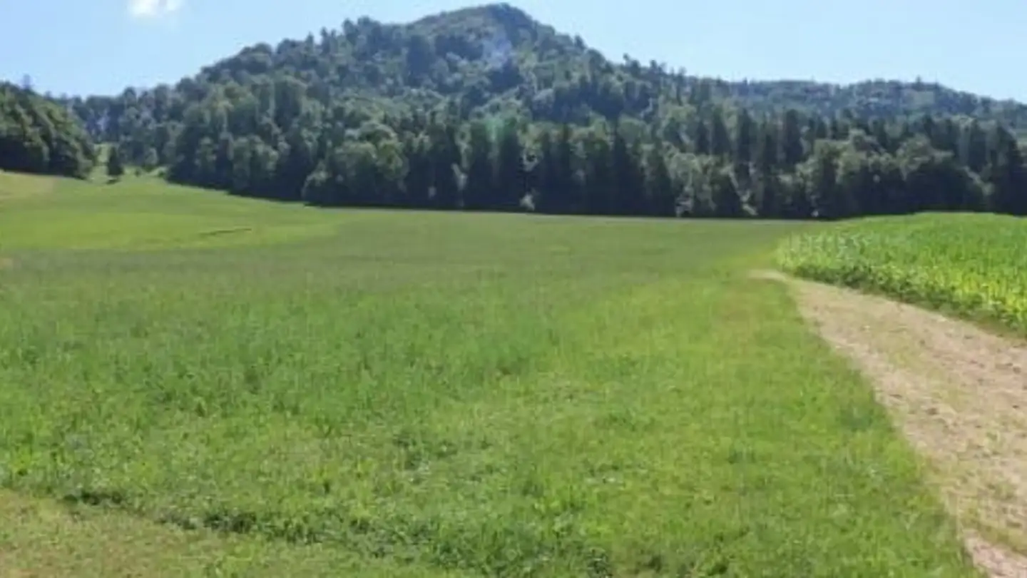 Casa singola in vendita - Tüfenbachstrasse 10, 8915 Hausen am Albis - Photo 4