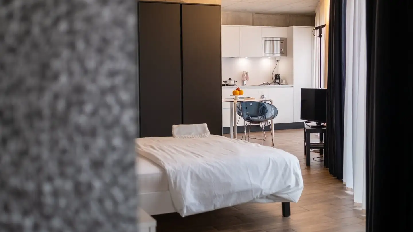 Furnished apartment for rent - Sternmattstrasse 18, 6005 Luzern - Photo 2