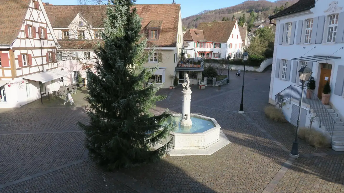 Appartamento in affitto - Dorfplatz 8, 4144 Arlesheim