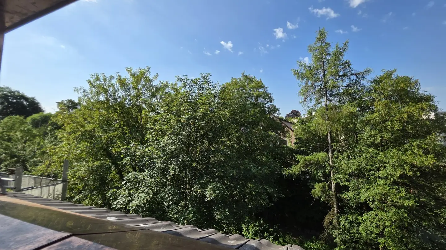 Appartamento in affitto - Weiherstrasse 2, 8620 Wetzikon ZH - Foto 4
