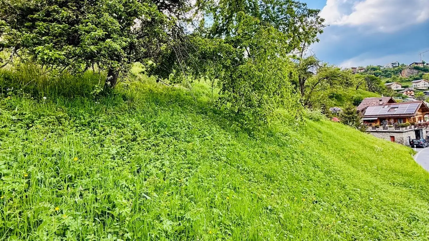 Constructible plot for sale - 1981 Vex - Photo 3