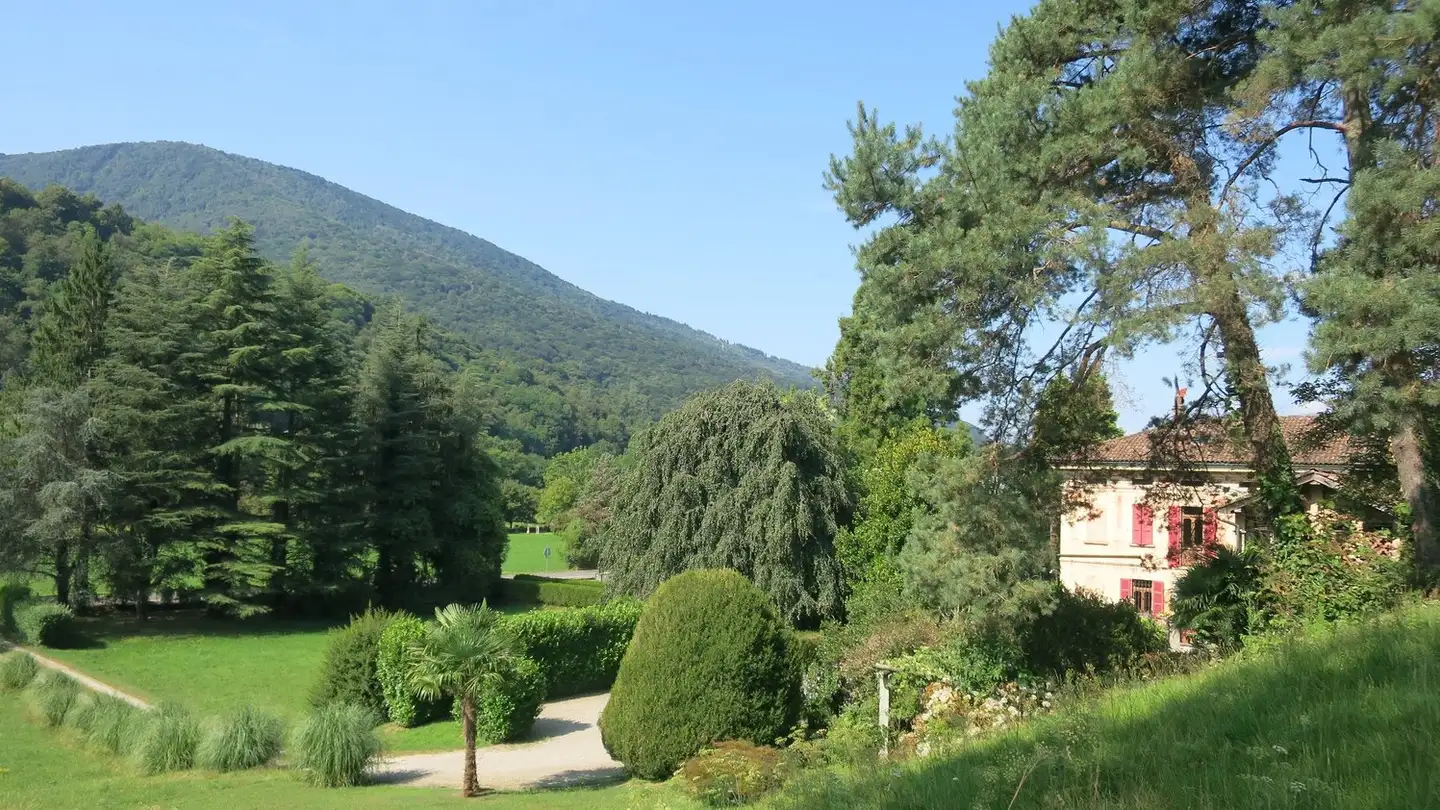 Casa singola in vendita - Via Monteggio, 6998 Monteggio - Photo 2