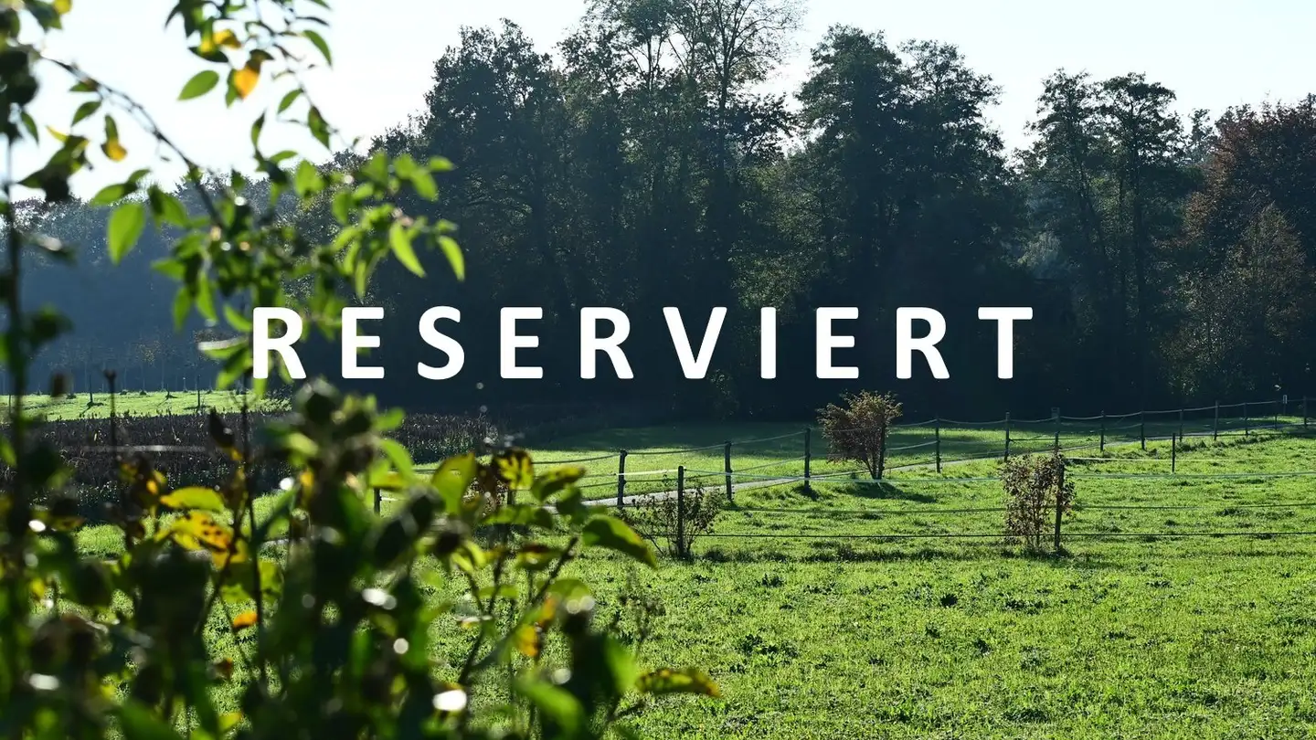 Row house for sale - Kleinbrühlgässli 18, 2545 Selzach