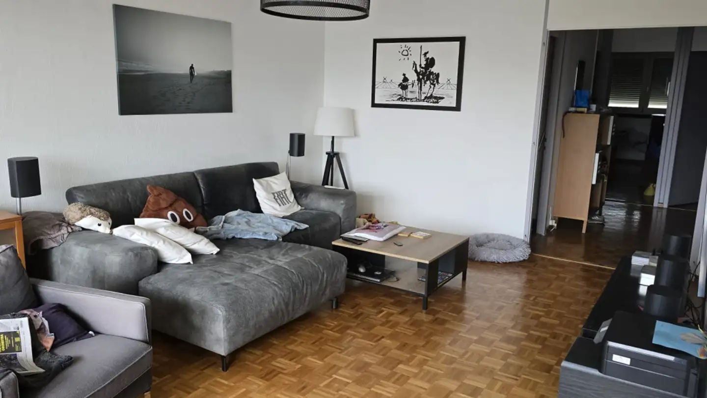 Appartamento in affitto - Route Du Grand-Lancy, 1212 Grand-Lancy