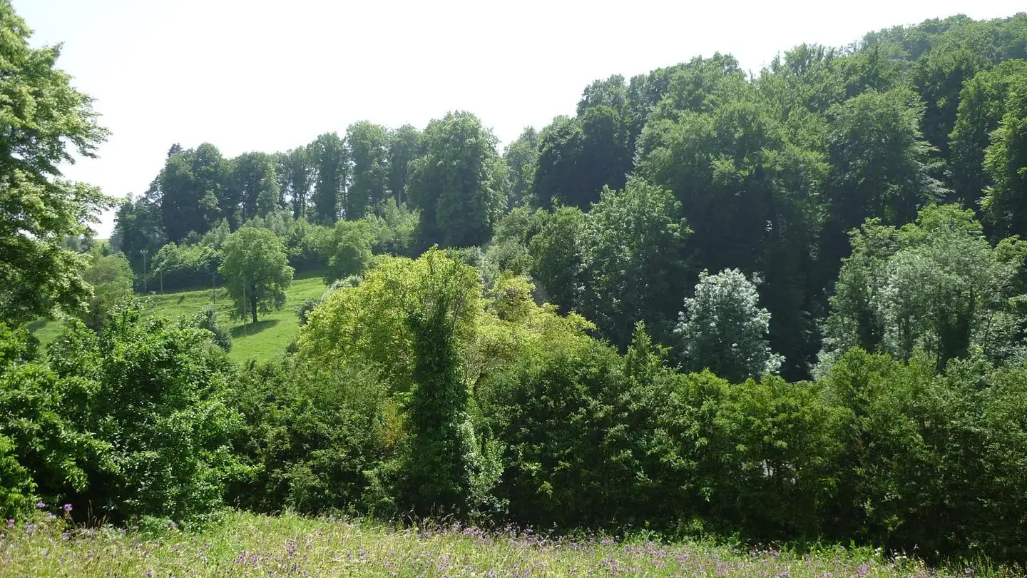 Appartement à vendre - 1323 Romainmôtier - Photo 2