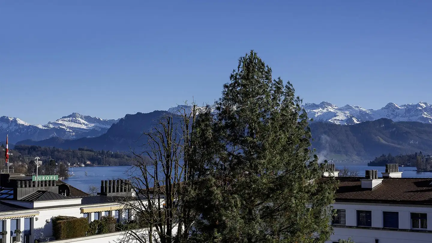 Wohnung kaufen - 6006 Luzern - Foto 2