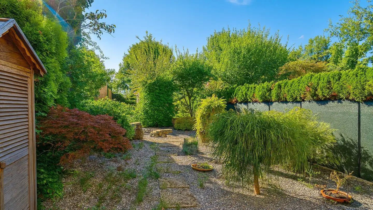 Casa singola in affitto - 8906 Bonstetten - Photo 4